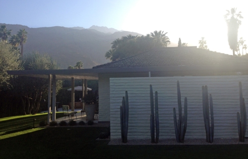 palm-springs-style-2
